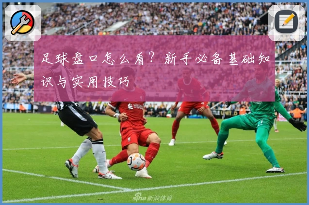 足球盘口怎么看?新手必备基础知识与实用技巧