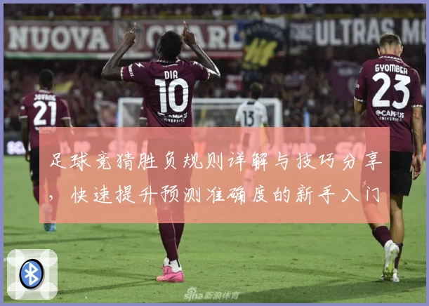 足球竞猜胜负规则详解与技巧分享,快速提升预测准确度的新手入门指南