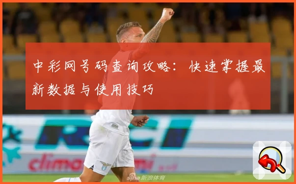 中彩网号码查询攻略：快速掌握最新数据与使用技巧