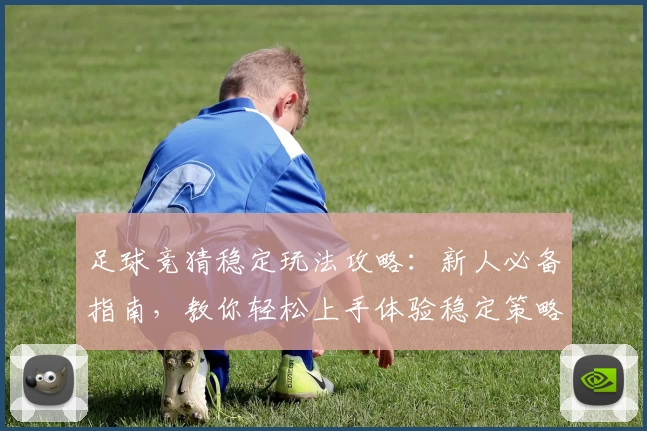 足球竞猜稳定玩法攻略：新人必备指南，教你轻松上手体验稳定策略