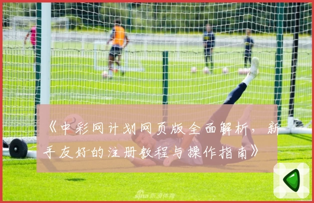 《中彩网计划网页版全面解析，新手友好的注册教程与操作指南》