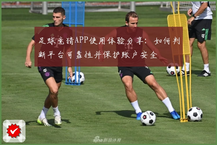 足球竞猜APP使用体验分享：如何判断平台可靠性并保护账户安全