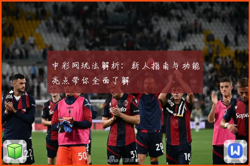 中彩网玩法解析：新人指南与功能亮点带你全面了解