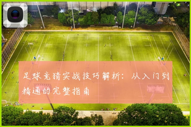 足球竞猜实战技巧解析：从入门到精通的完整指南