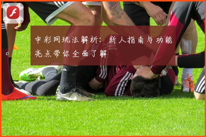 中彩网玩法解析：新人指南与功能亮点带你全面了解